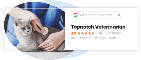 Be The Best Veterinarian In Your Community