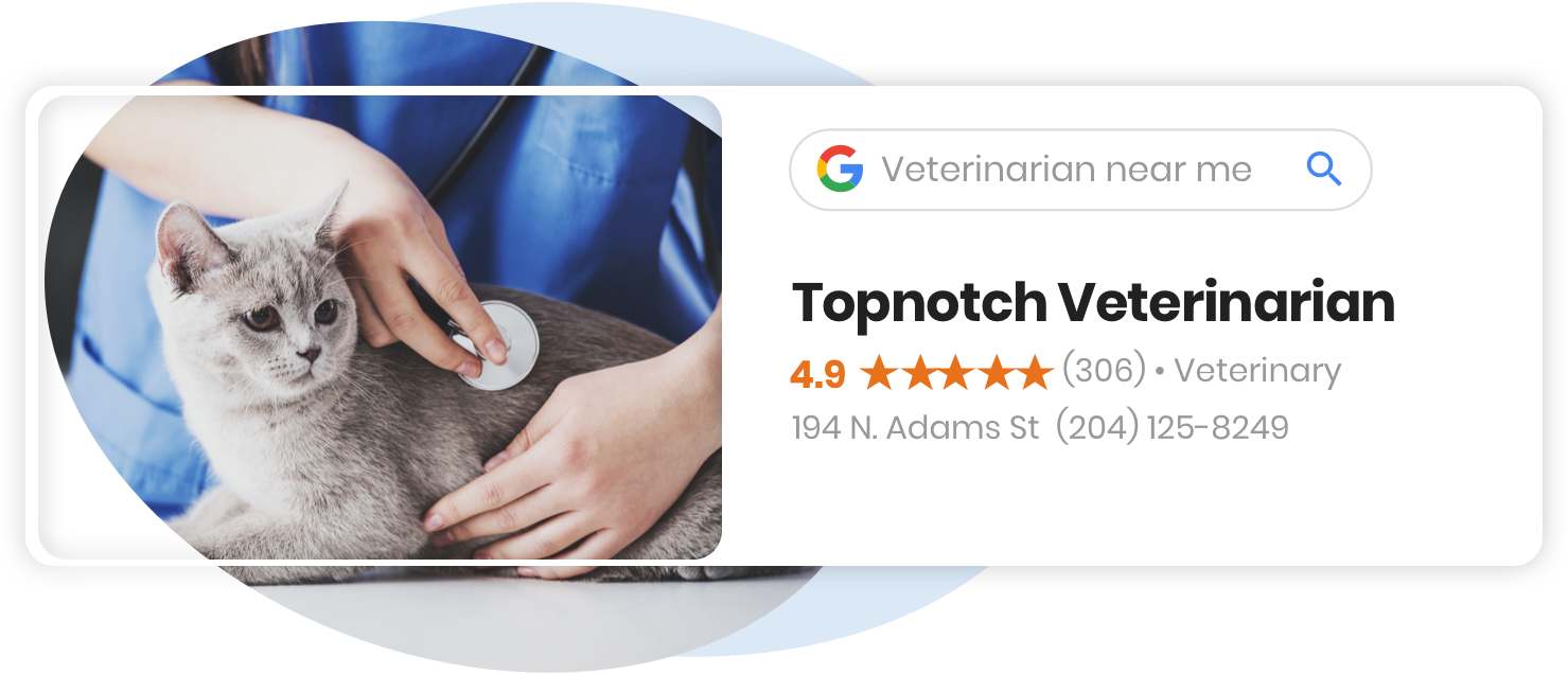 be-the-best-veterinarian-in-your-community-birdeye-au