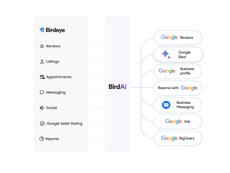 Birdeye and Google