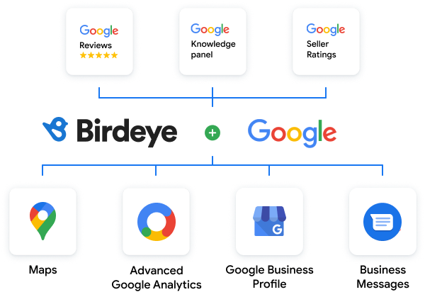 Birdeye and Google