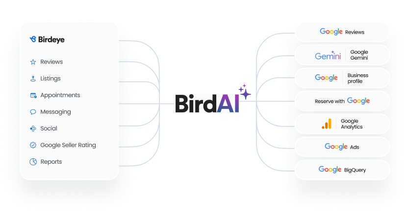 banner-birdeye-and-google-overview