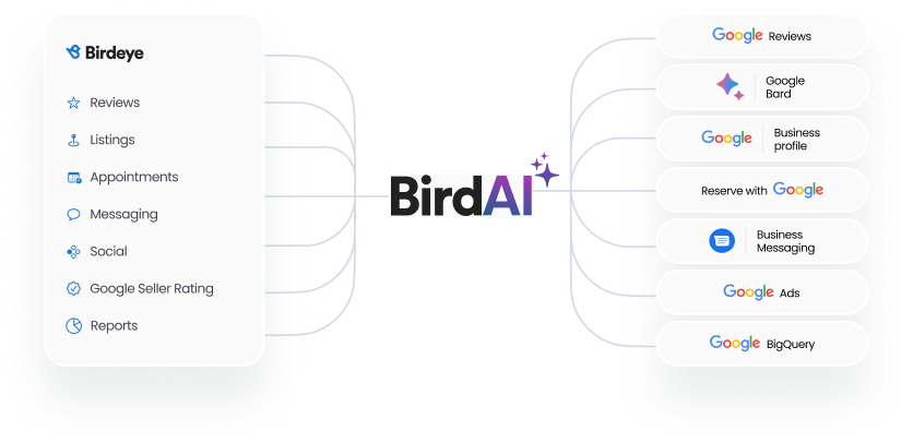 Birdeye and Google