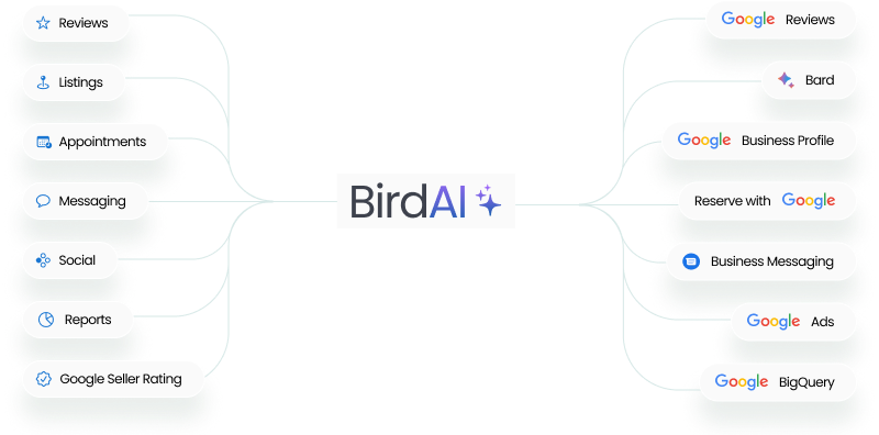 bird ai