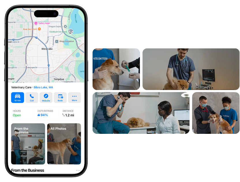 Apple Media Gallery