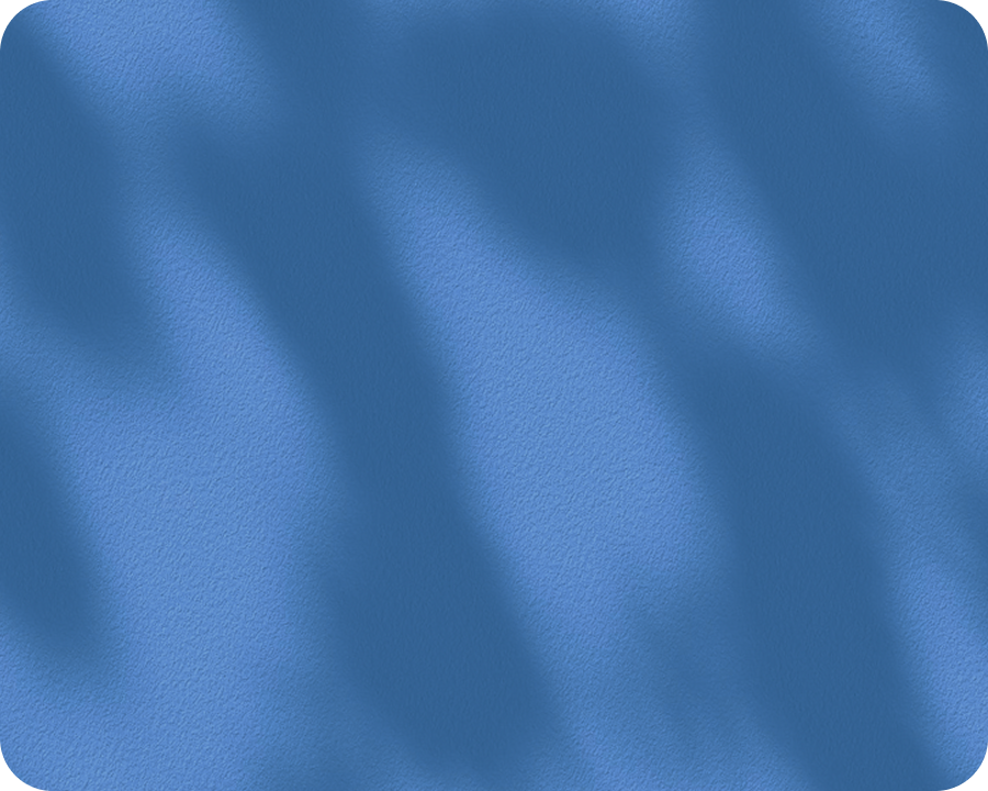 Robin Visual Bg