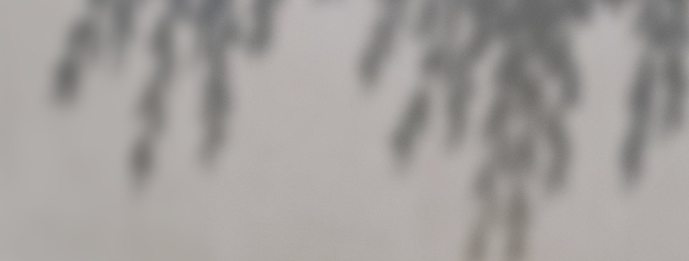 bush-in-concrete-bg