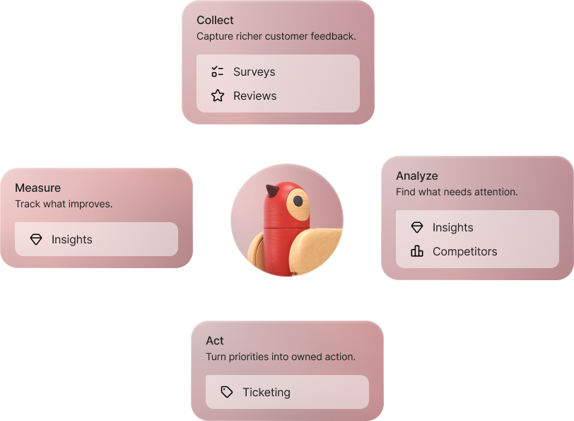 One loop connects every stage of the CX program.