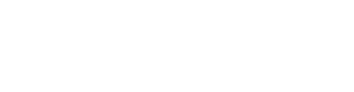 Birdeye Visionary Logo