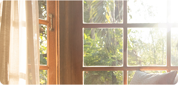 Window Nation