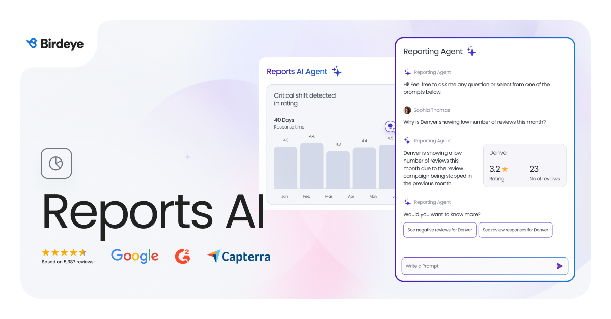 AI Reporting Agent for Performance Insights | Birdeye