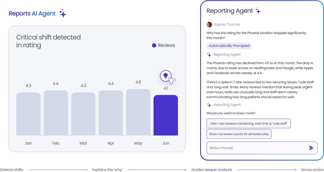 Reports AI Agent
