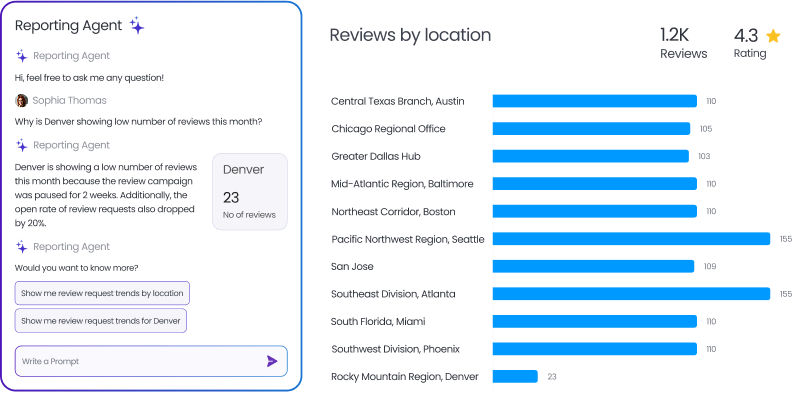 review-reporting-agent
